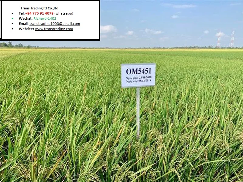 Quality High 5% Broken Cooking Support broken rice 100% Vietnamese Long Grain White Rice OM5451 from Vietnam