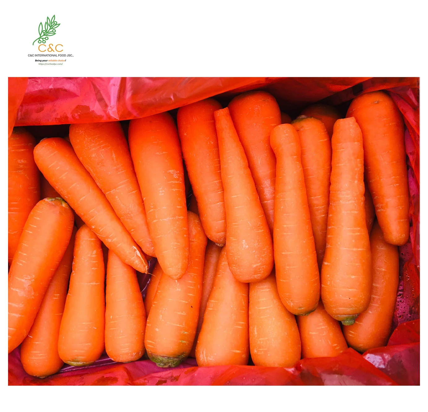 fresh Exceptional Carrot 2022 New Crop wholesales global export Price orange From Vietnam