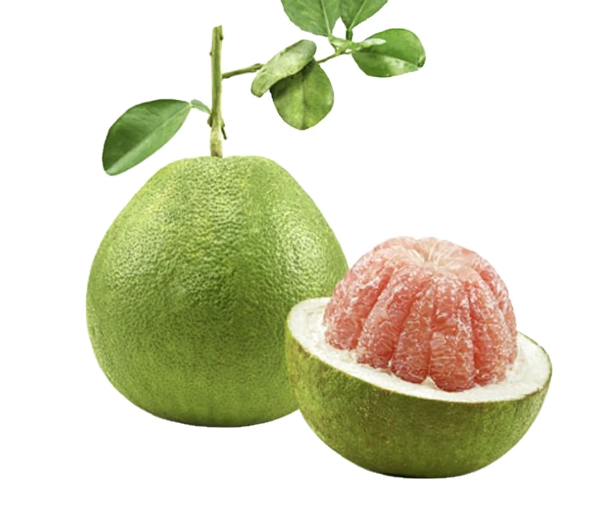 Fresh Fruit 1-1.8 kg/pcs Fresh Citrus Fruit Green skin pomelo grapefruit With pink flesh Brix 10 - 13% In Vietnam