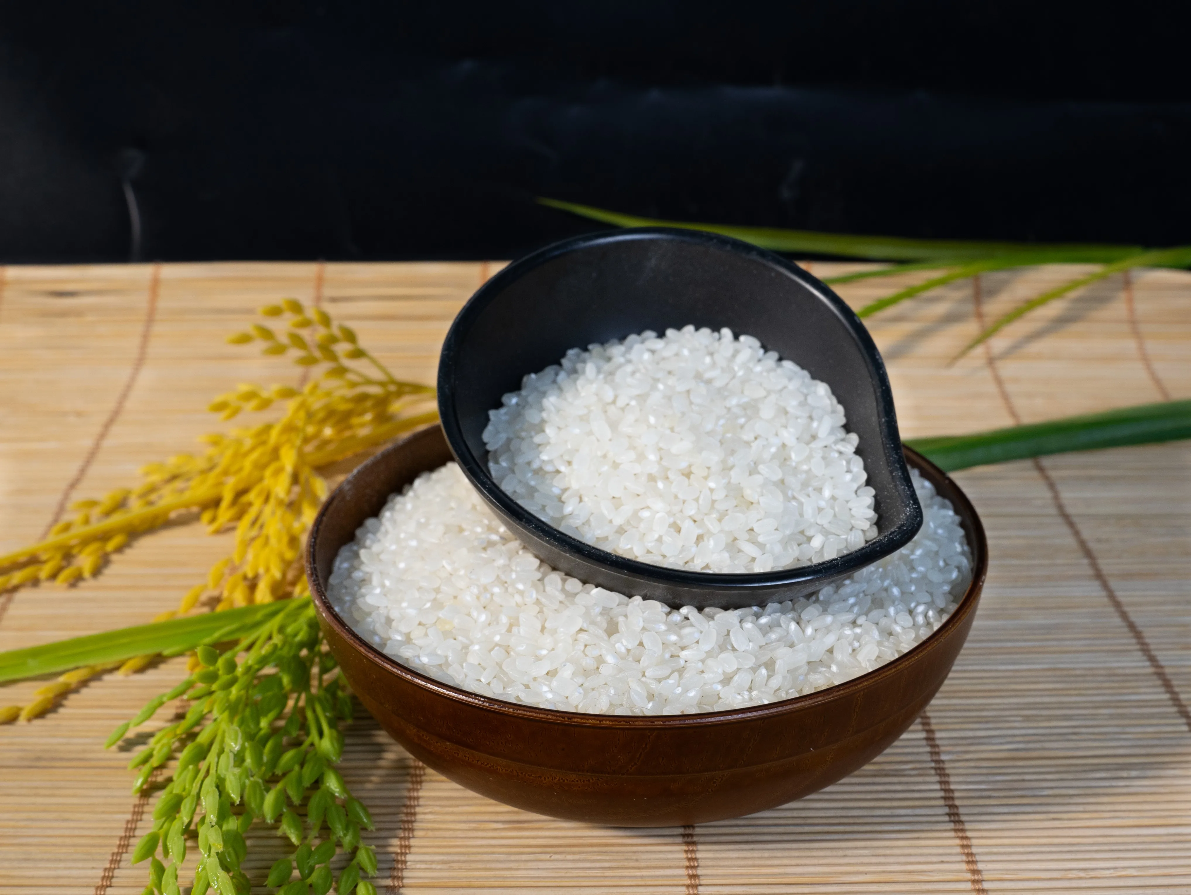 Top-Grade Japonica Rice from Vietnam - Premium Round Grain White Rice for Export at Unbeatable Prices, Vietnamese Rice