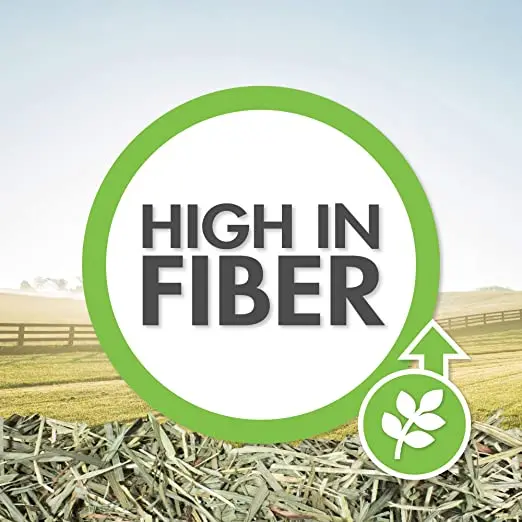 Vitakraft Small Animal Timothy Hay for Guinea Pigs Rabbits and Chinchillas