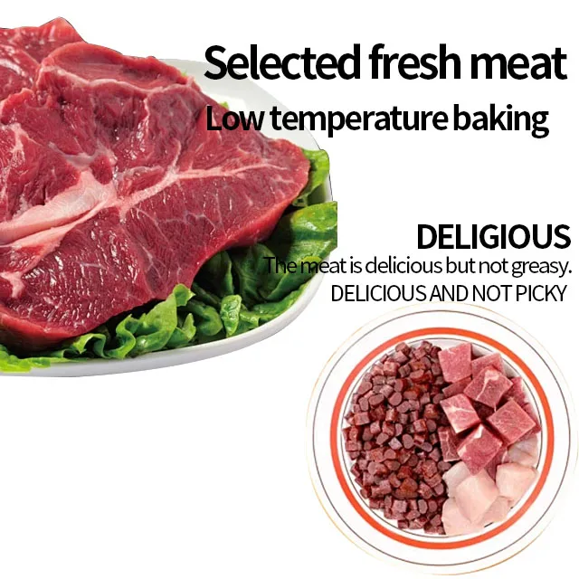 OEM Cheapest Cat Food Factory Exports 10KG High Protein Pet Food Raw Chicken Flavors Fish Shapes All Age Cat Dry Food