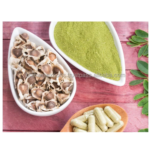 Indian Exporter of Best quality wholesale 10:1 Moringa oleifera seed Extract with rich in protein