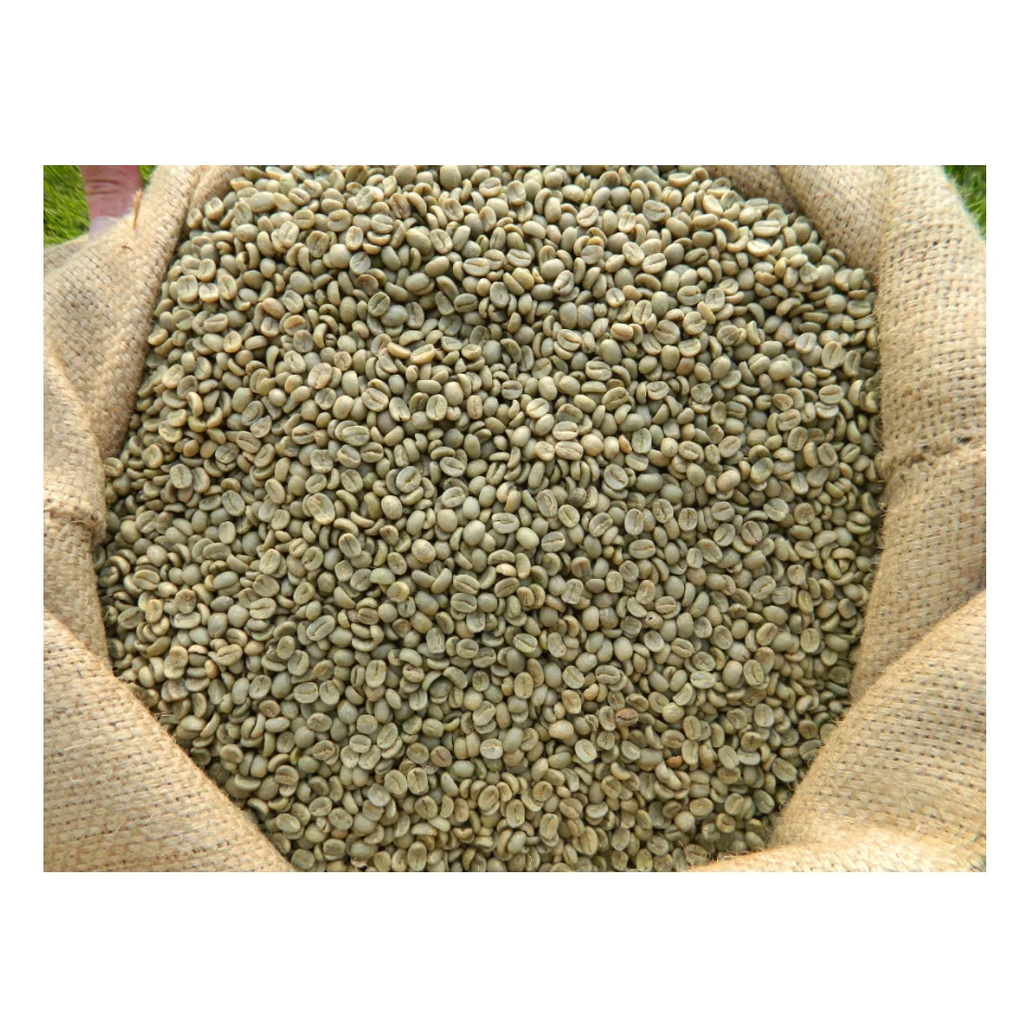 Factory Supply Premium Grade 100% Natural Green Coffee Beans Agricultural Products Wholesale Price Top Quality