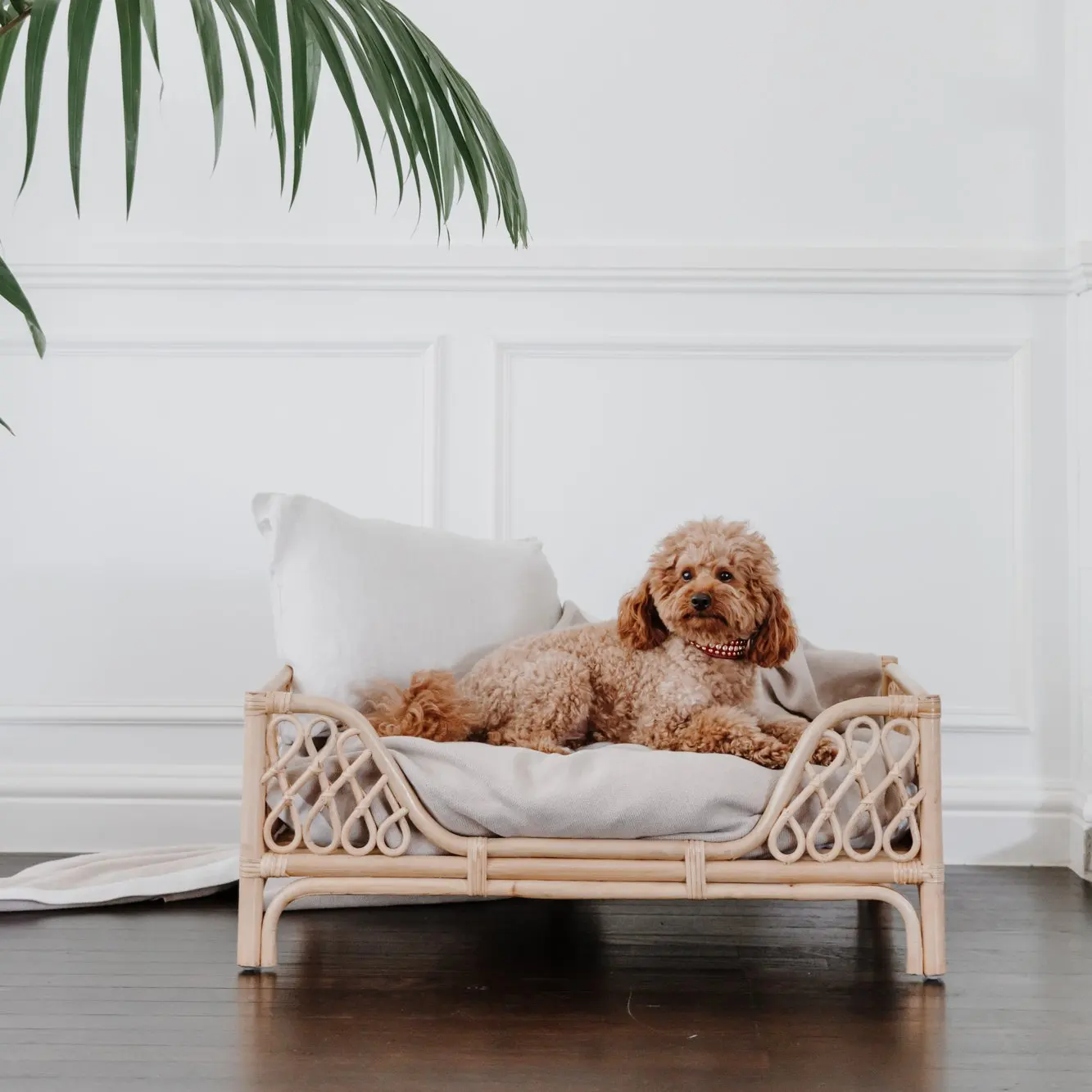 Cheap dog bed fun and  portable dog beds rattan sleeping pet basket