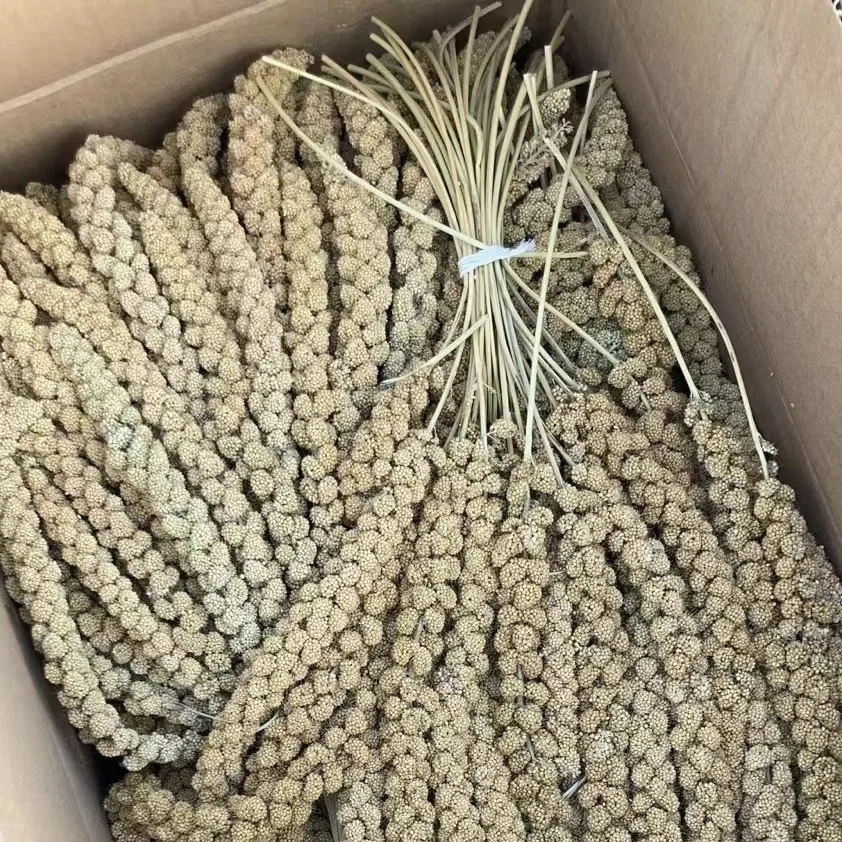 BEST PRICE! Yellow Millet Spray China Origin for Bird feeding Wholesale Bird Food Yellow Millet Spray BULK Dried Millet Spray
