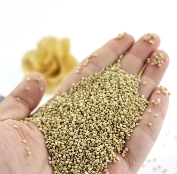 Мировые продажи стандартное качество натуральные зерна квиноа органические сушеные семена белые для оптовых покупателей