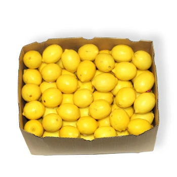 CHEAP Price HIGH QUALITY FRESH SEEDLESS Fresh Lemon 2023 Crop Fresh Seedless Lime South Africa / Wholesale Fresh Lemon