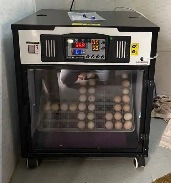 VIETSUN High Quality Automatic Egg Incubator, Incubators Hatching Eggs Farming Equipment - Made in Vietnam