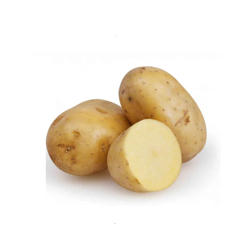 Top Selling Fresh Potato Bangladeshi Agriculture 100% Organic Fresh Nature Potato Export Oriented From Bangladesh
