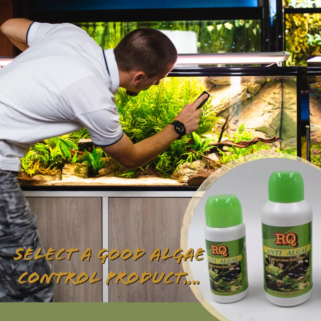 RQ 1000ml Anti Algae Fish Tank Aquarium Water Supplement Plastic Bottle Packaging for Fish Species