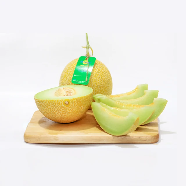 Organic Cantaloupe - Export Quality Fresh Sweet Cantaloupe Melon from  Unifarm Vietnam Supplier