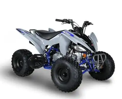 CHEAP DISCOUNT SALE 250Cc atv quad bike buggy utv OFF ROAD MOTORCYCLE FOR SALE