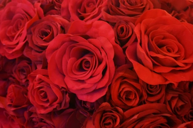 Japan high quality healthy plant based herbal beauty flower tea made in Japan OEM available