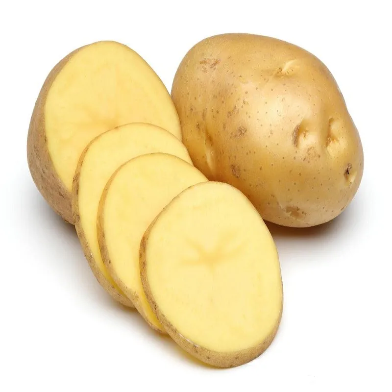 1/6 wholesale irish holland fresh potato seed potatoes potato