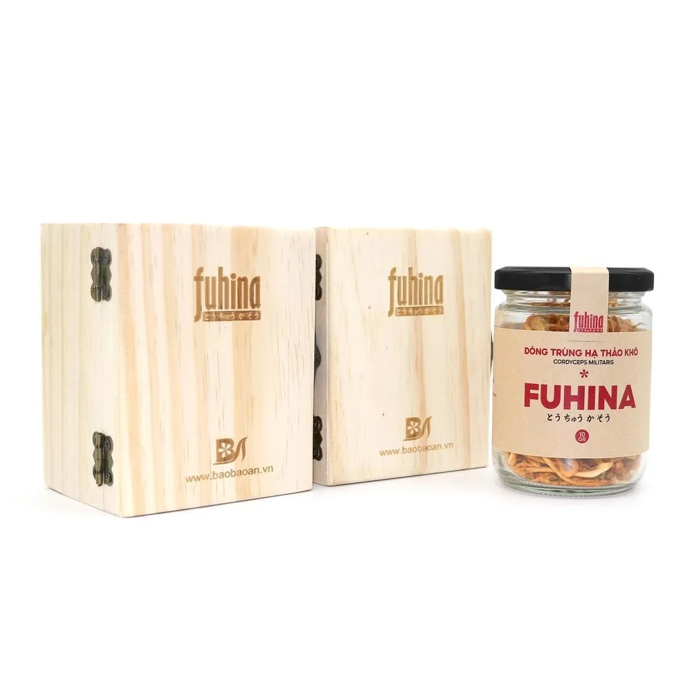 Good Price Healthy Natural Militaris Mushroom Extract Nutrients Big Spore Head Golden Dried Cordyceps Mushroom