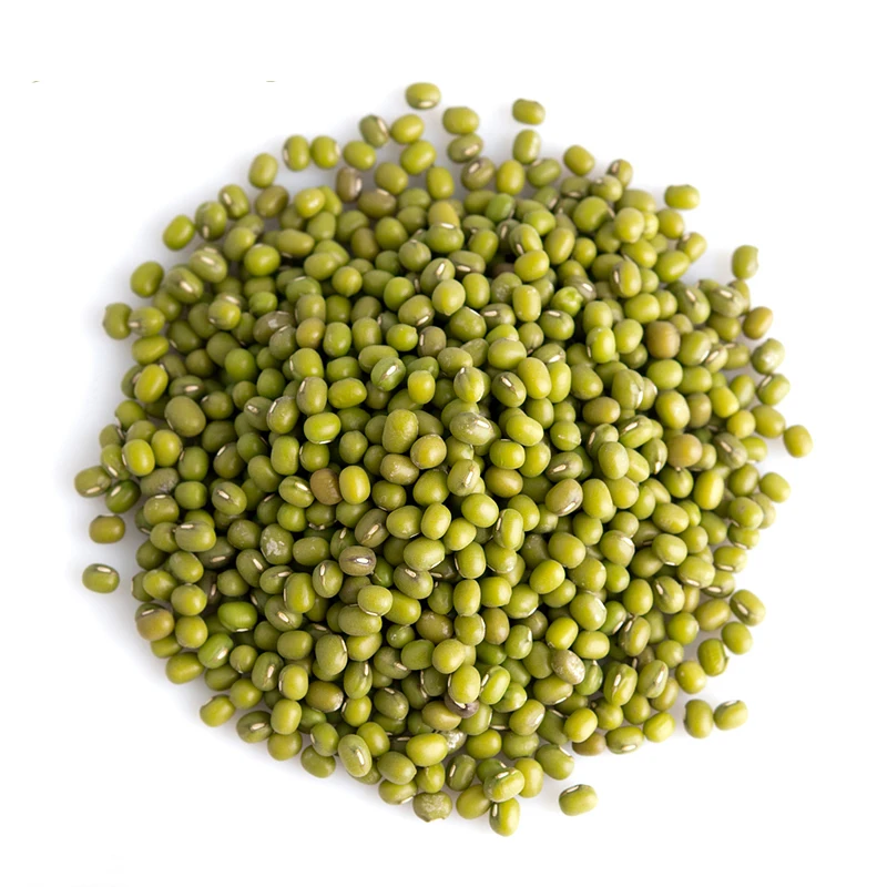Top Quality Green Mung Beans / Green Gram /Moong Dal / Vigna Beans for export