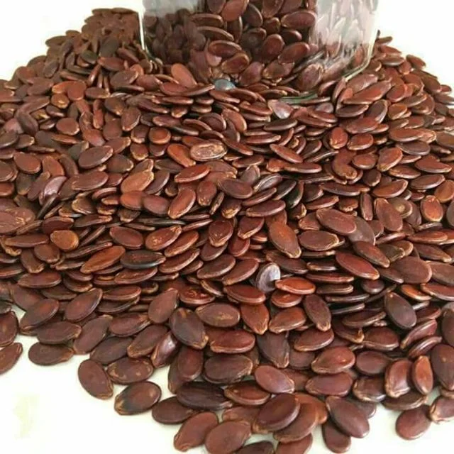 Color-Free Roasted Melon Seeds HACCP Natural Thanh Long Confectionery ISO Certificate Nutritious From Vietnam Manufacturer OEM