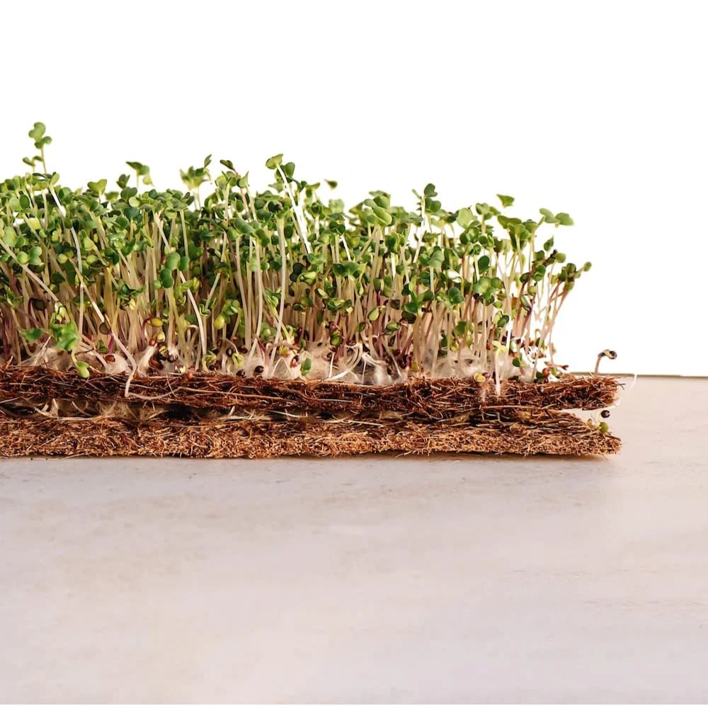 Hot Sale Sustainable Coconut Coir Fiber Mat/ Coconut Fiber Mesh With High Quality Material and Good Price Made in Vietnam