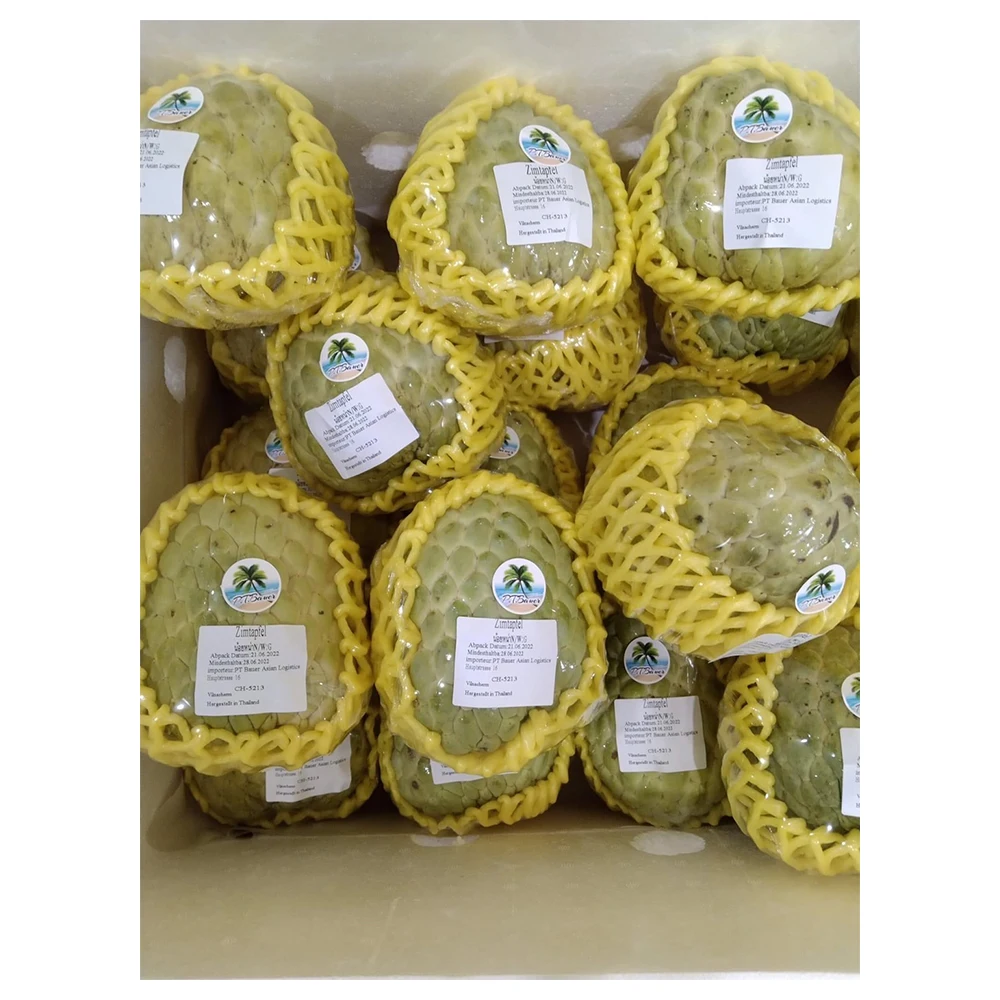 Premium Fresh Custrad Apple from Thailand 100% Natural Premium Grade of Fresh Custrad Apple with Best Taste