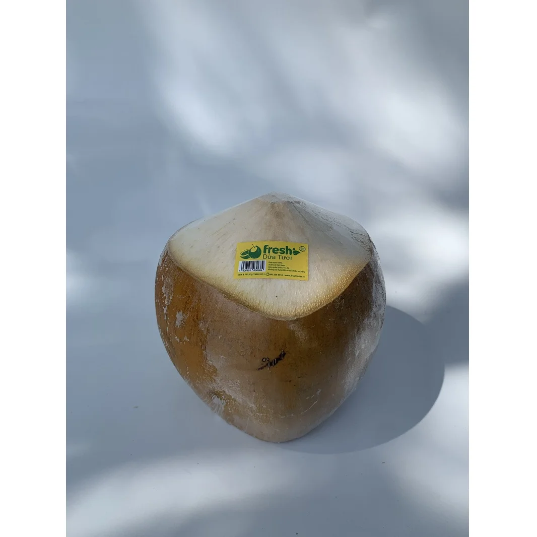 Premium Class Cling Healthy Film Wrap Fruit Lifestyle Young And Fresh Selling Coconut From Vietnam Wholesale