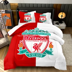 Made in China 3D Printing quilting soft winter quilt core customizable ball Football Club logo quilt