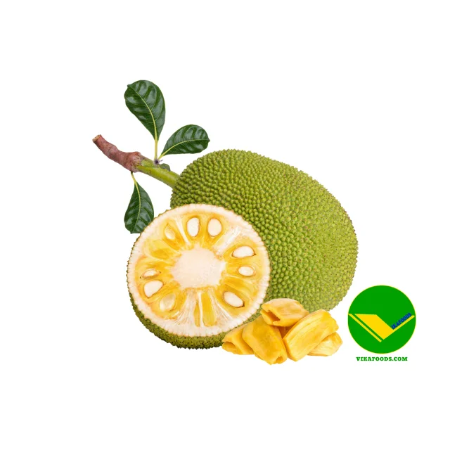 High Quality Fresh Jackfruit Wholesale Sweet Vietnamese Tropical Fruit for Eating Economically Priced