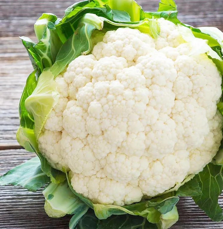 Nominal Price Most Selling Top Grade Fresh Cauliflower in Bulk Quantity