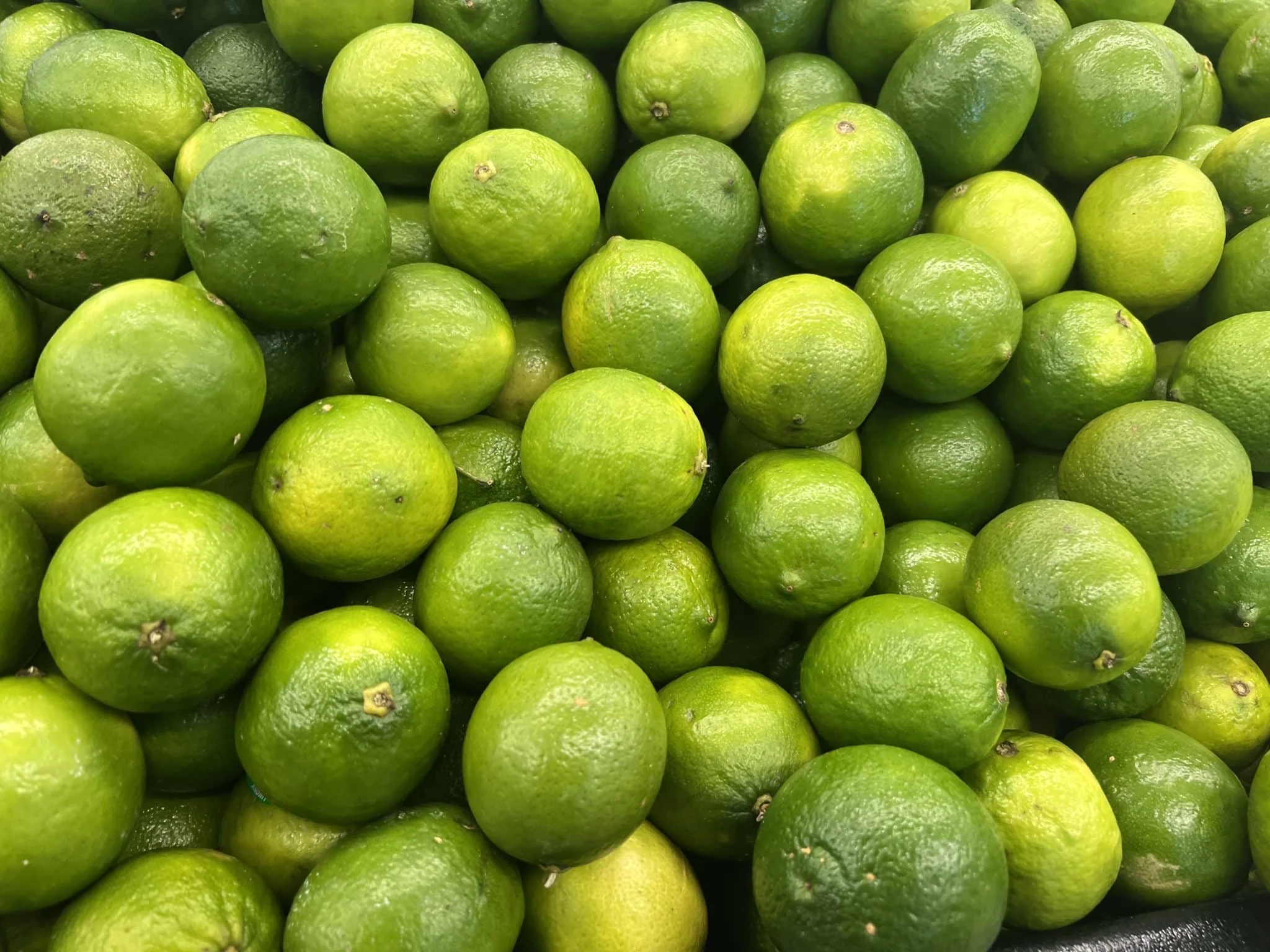 Lime Green OEM Package Weight Size- Low MOQ Support Grade lemon Fresh Seedless Lime Lifefoods from Vietnam