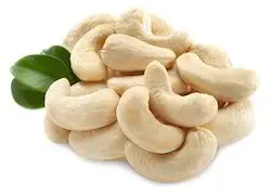 Best Quality Cashew Nut For Best Health Side Effect Supplier From India