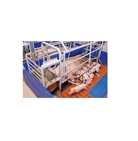 Sow Farrowing Cage Essential Slaughtering Equipment