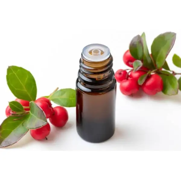 Herbal Oils Bulk Price Pure Organic Wintergreen E-s-s-e-n-t-i-a-l Oil For Aroma Massage