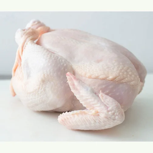 High Quality HALAL Frozen Whole Chicken Wholesale Frozen Chicken Breast BEST QUALITY for SALE at LOW PRICE