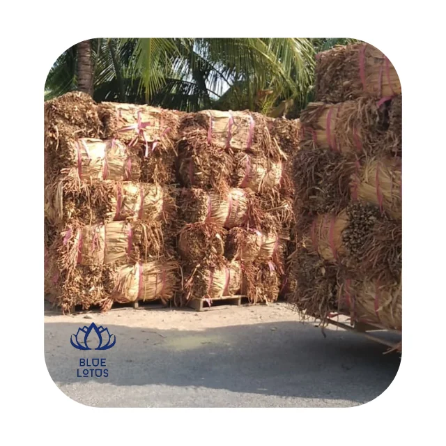 Dried Water Hyacinth Natural