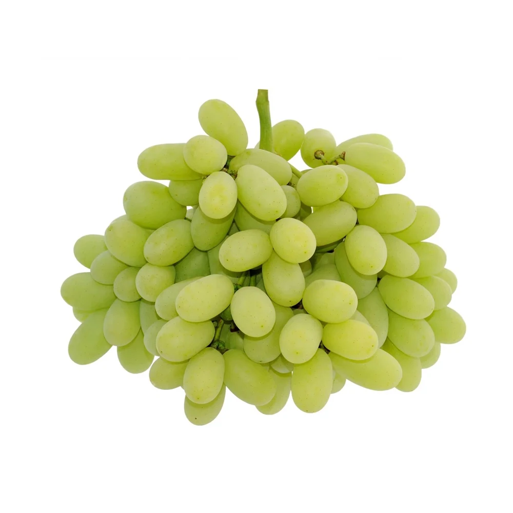 High Quality Fresh Seedless Green Grapes