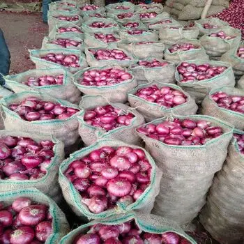 15 кг упаковка свежий желтый лук, низкая цена, свежий лук, Размер 9 см вверх