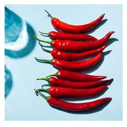 Chili Pepper/ Red chili with best prices