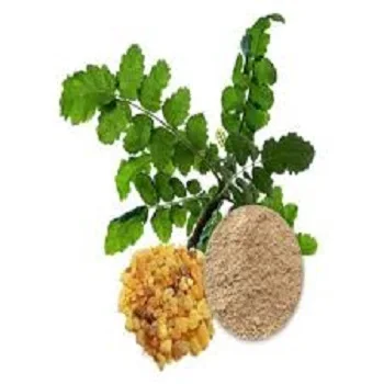 Supply Food Grade boswellia serrata extract 45% boswellic acid powder in bulk