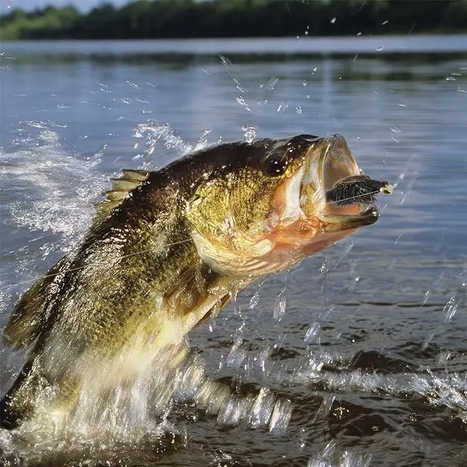 Fly Fishing Dry Flies Wet Flies Kit Streamers Nymphs for Bass Trout Salmon Fishing