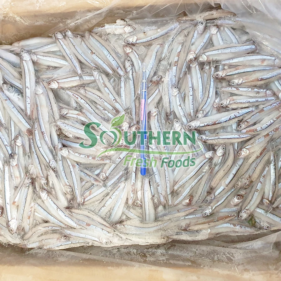 Bulk Sales Sea Fish Size process IQF Wild Caught SFF weight packaging anchovy Frozen Blue Anchovy from Vietnam
