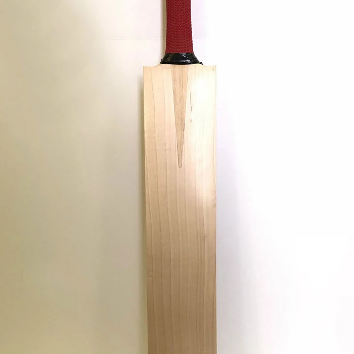 Wholesale Best Selling Plain Kashmir Willow Hand Made Strong Grip Short Handles Professional Hard Ball Net Training Cricket Bats
