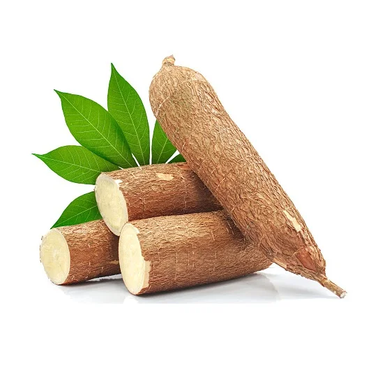 High Quality Fresh Yuca Root (Cassava) / Fresh Vegetables Cassava At Cheap Price Manufacturer From Germany worldwide Exports