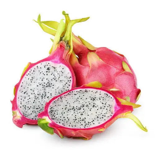 Dragon Fruit farming fresh and healthy vegetable in wholesale price of bulk quantity over 1 ton