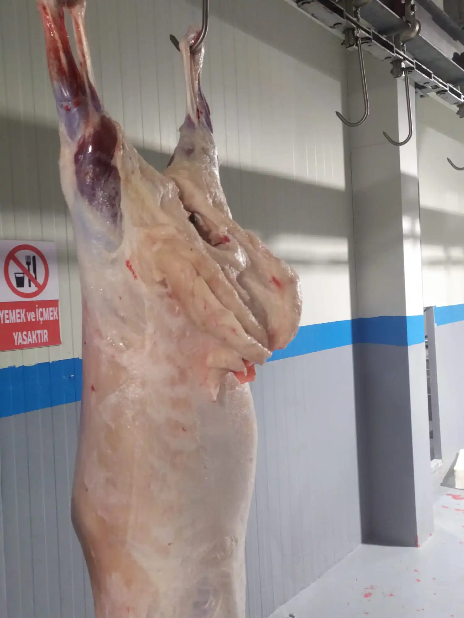 Высококачественный жир из хвоста ягненка-сертификат halal-печень турецкой Овцы-100% органический и полезный = вакуумный замороженный