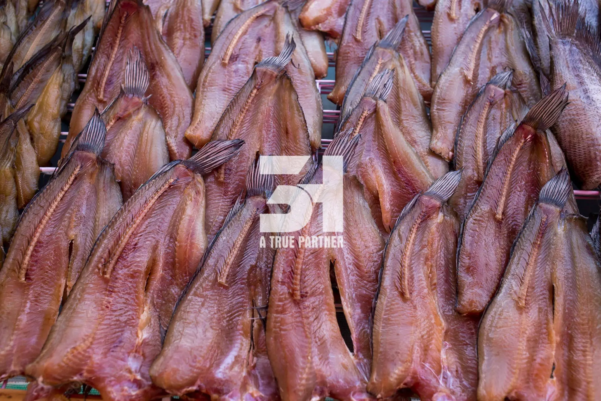 Vietnam Natural Dried Snakehead Fish in Bulk Ready to Ship (Ms. Nancy - +84981859069)