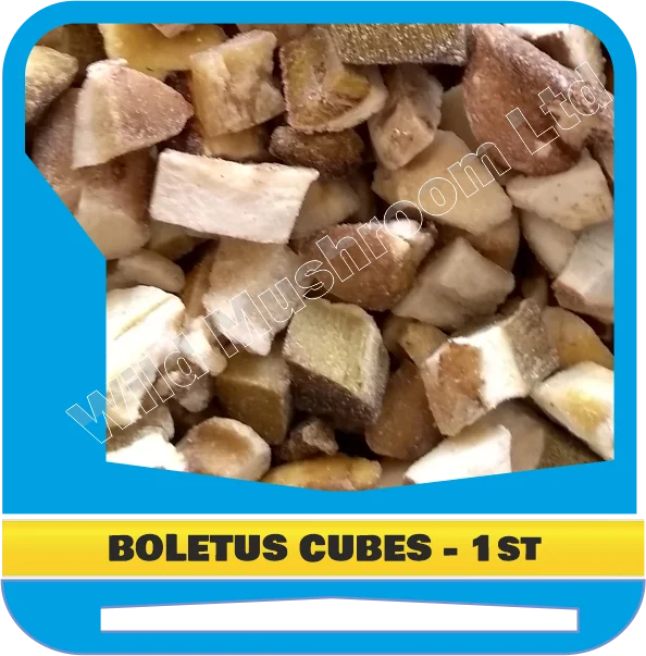 Frozen Boletus edulis (Cepas, Porcini, Steinpilze) cubes first grade. Best price on the market!
