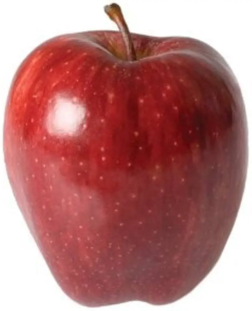 Natural Organic Non-GMO New Produce Fresh Green and Red Apples For sale