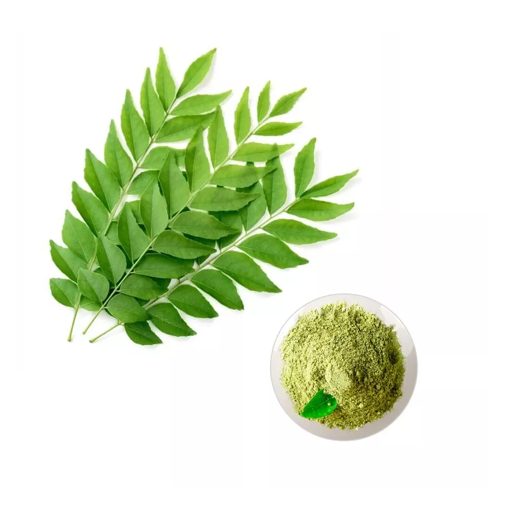 Best Quality for Dehydrated Vegetable Curry Powder for Cooking Flavour Available Customized Jars at Bulk Price for Export