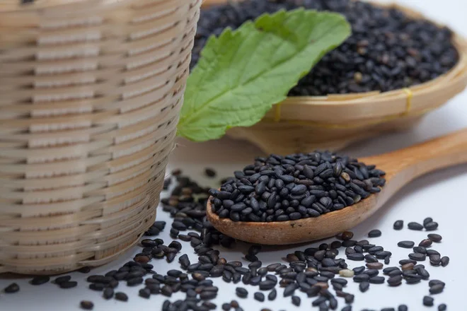 TOP QUALITY 2024 BASIL SEEDS WITH HIGH for WHOLESALE EXPORT