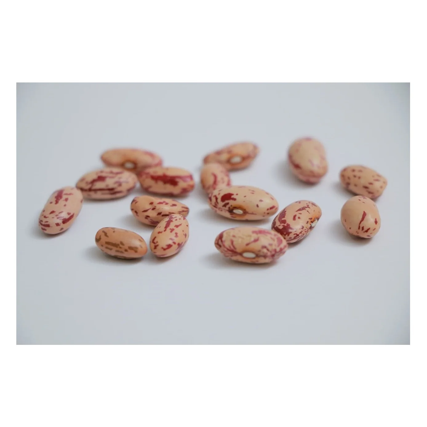 High grade non-GMO 100% natural beans from Uzbekistan speckled white kidney beans haricot Rareripe for food